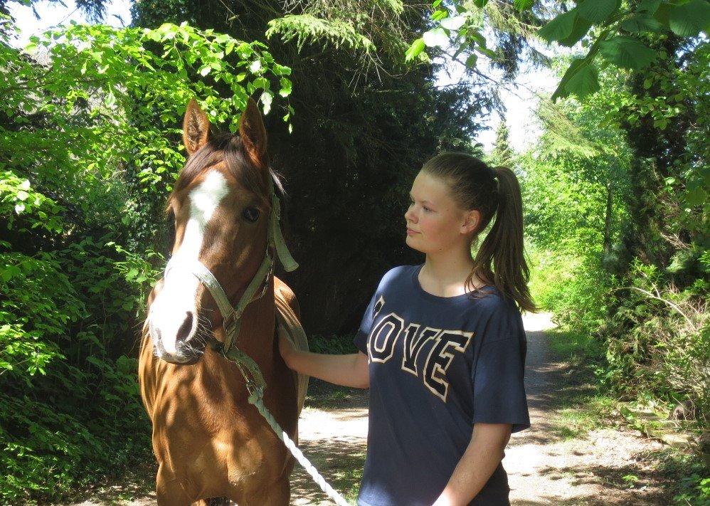 DSP Thorslunds Sunny Boy - Ynglinds billedet <3 Han var på gåtur ned i byen, og tog det så flot! billede 8