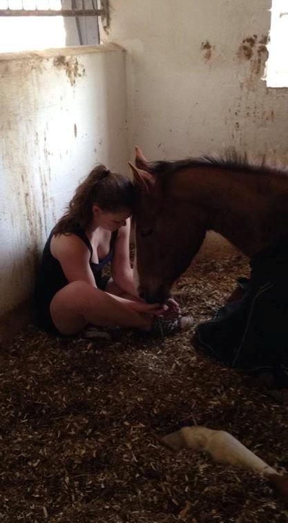 DSP Thorslunds Sunny Boy - Får altid lov at sidde og nusse med ham, når han ligger ned <3 Det er så hyggeligt! billede 13