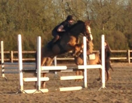 DSP Thorslunds Sunny Boy - Beklager kvaliteten <3 billede 15