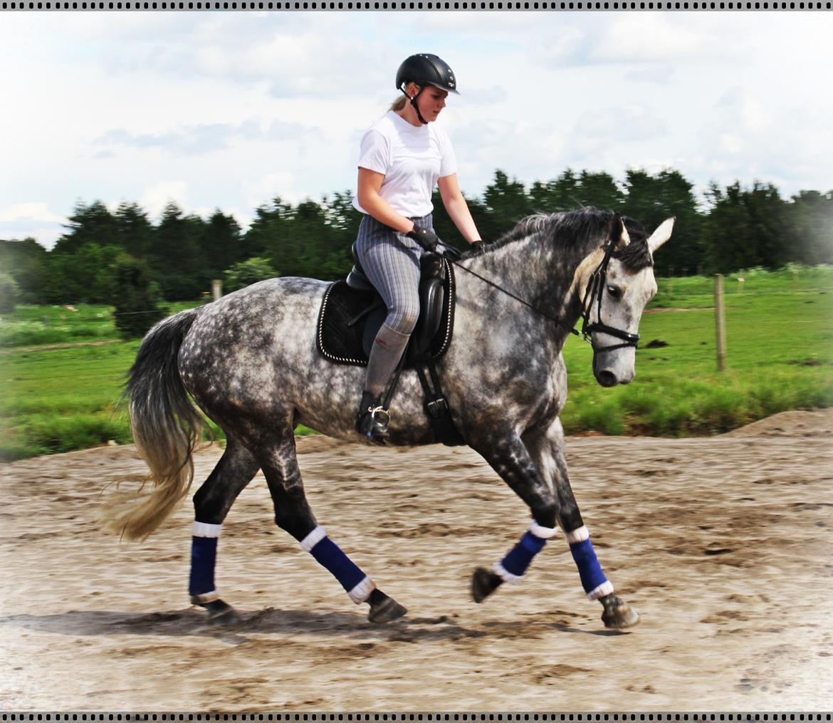 Holstener Castinè billede 20