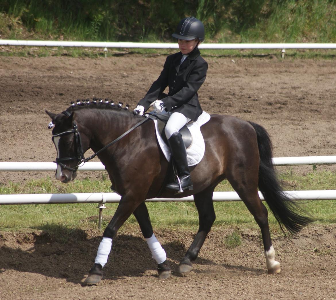 Anden særlig race Aslan billede 20