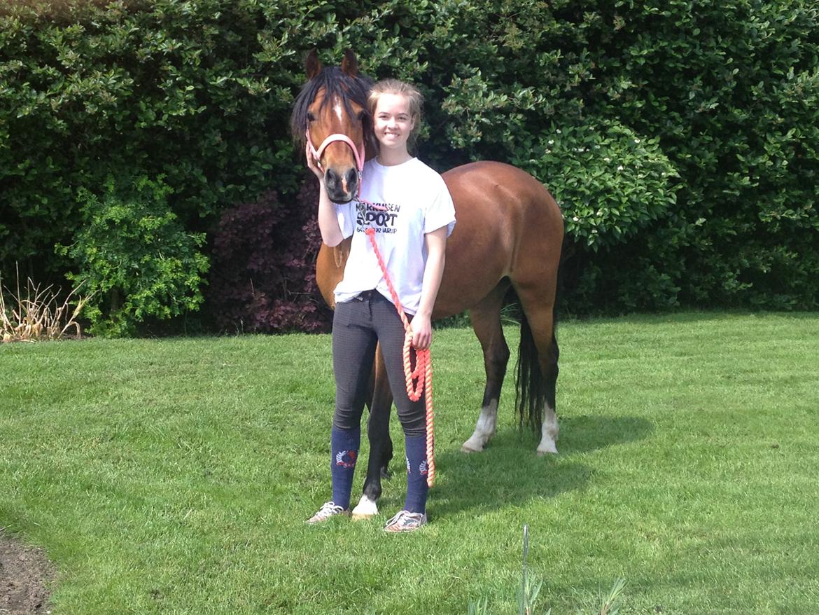 DSP Tovdals Indian Sunrise (Musse pigen<3) - På tur hjemme i haven, dagen efter jeg fik hende hjem <3 billede 1