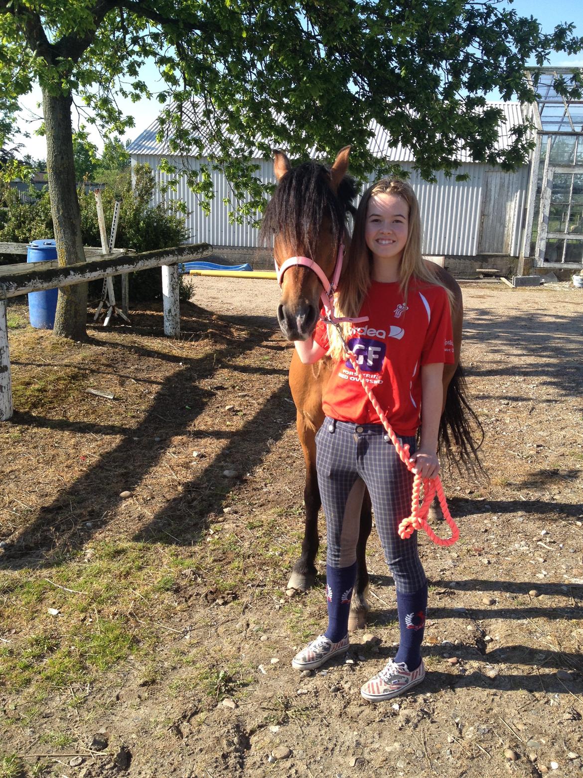 DSP Tovdals Indian Sunrise (Musse pigen<3) billede 4