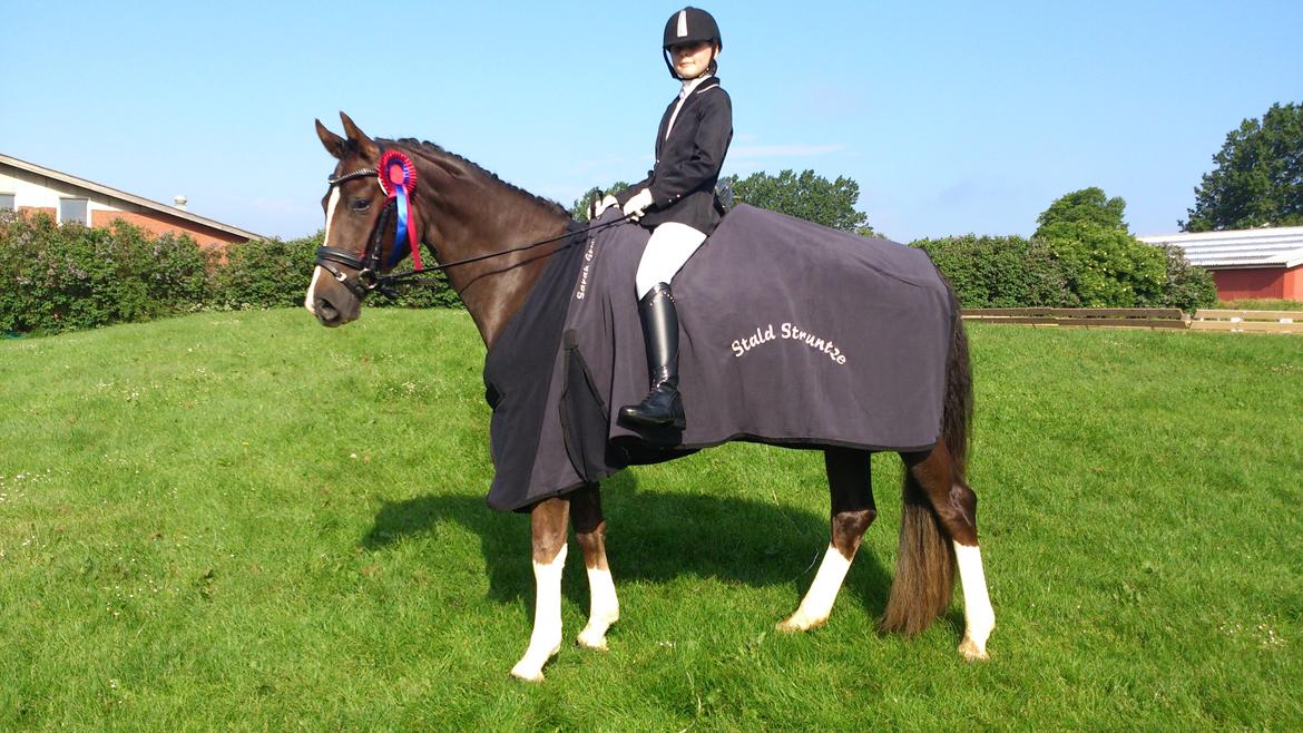 Welsh Partbred (Sec F) Struntze's MasterPiece BRSDH 630 - Sarah Groth og Nulle til stævne i Ikast billede 11