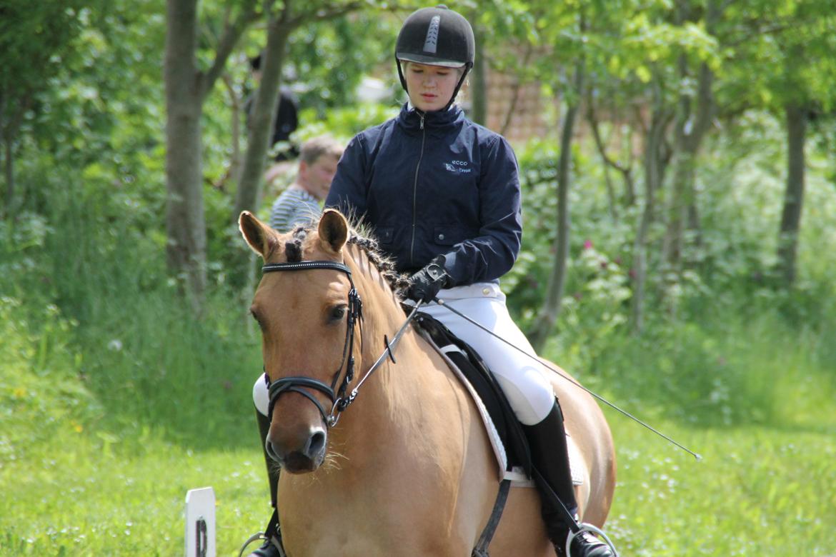 Anden særlig race Bamseline! <3 - <3 <br><br> Foto: Sahra :) billede 9