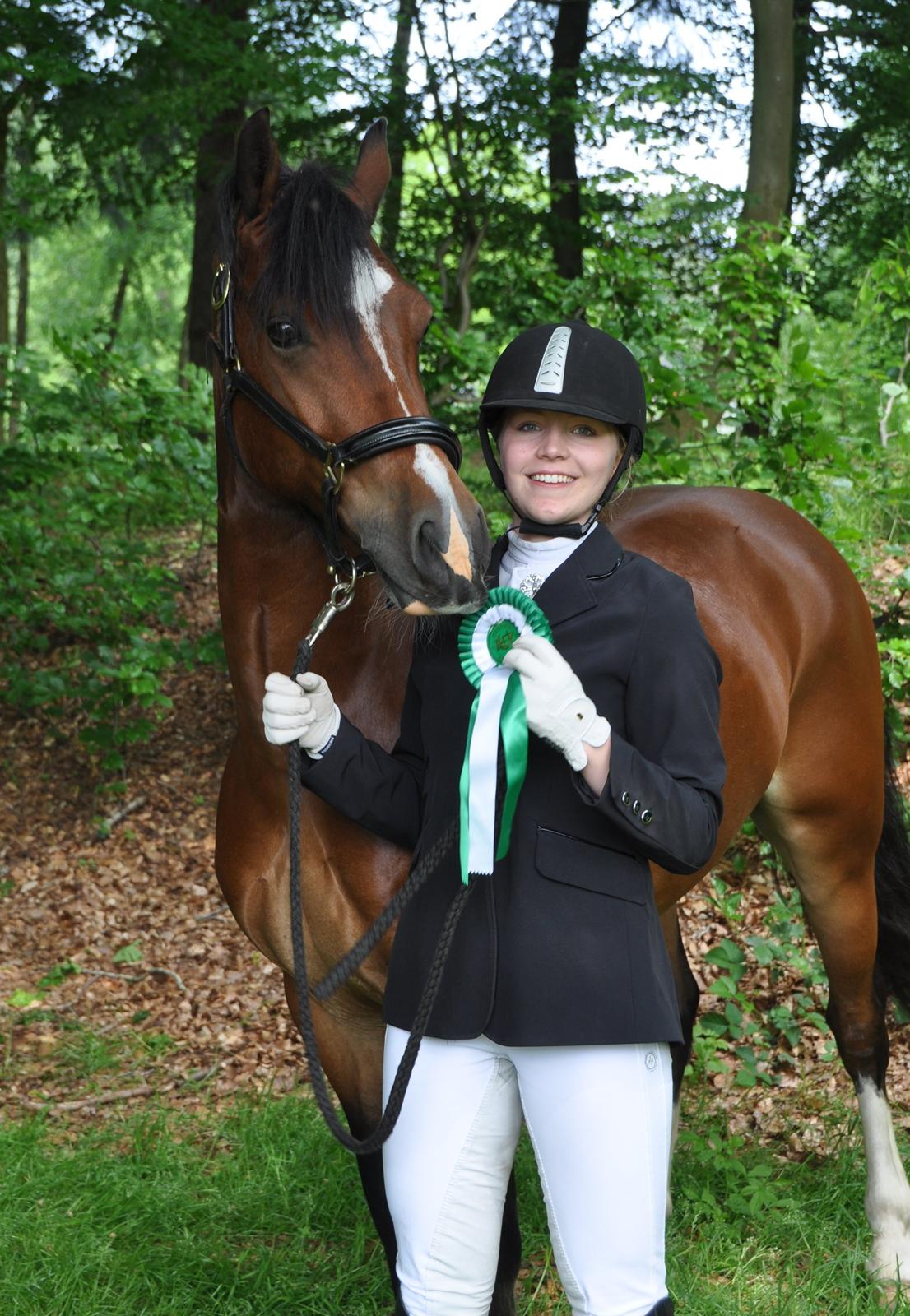 Welsh Cob (sec D) Lindbergs Milton B-PONY - 3plads til landsstævne billede 38