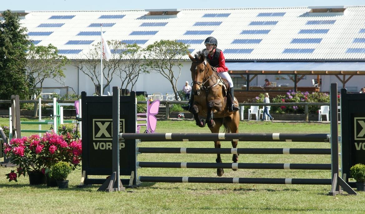 Zangersheide D. Chriesafie Z - Første distriktsstævne, LB* billede 17