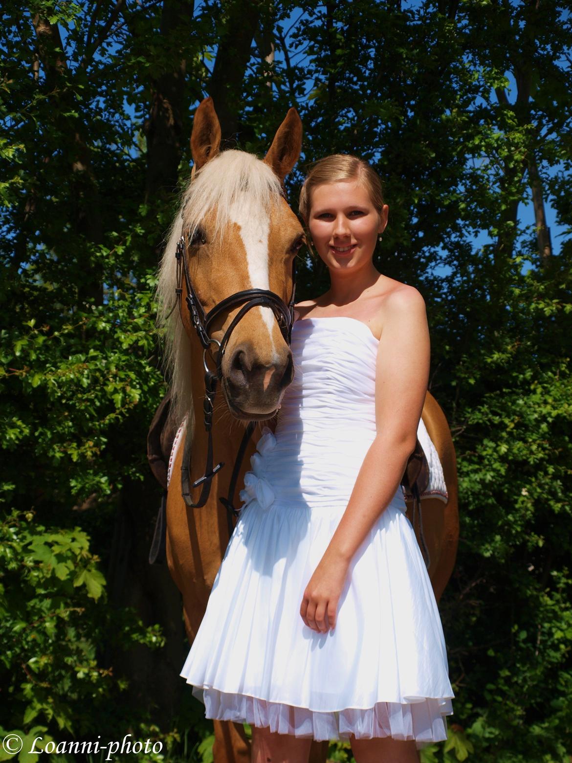 DSP Grønagergård Dobra - Den bedste hest man kan ønske sig <3 billede 3