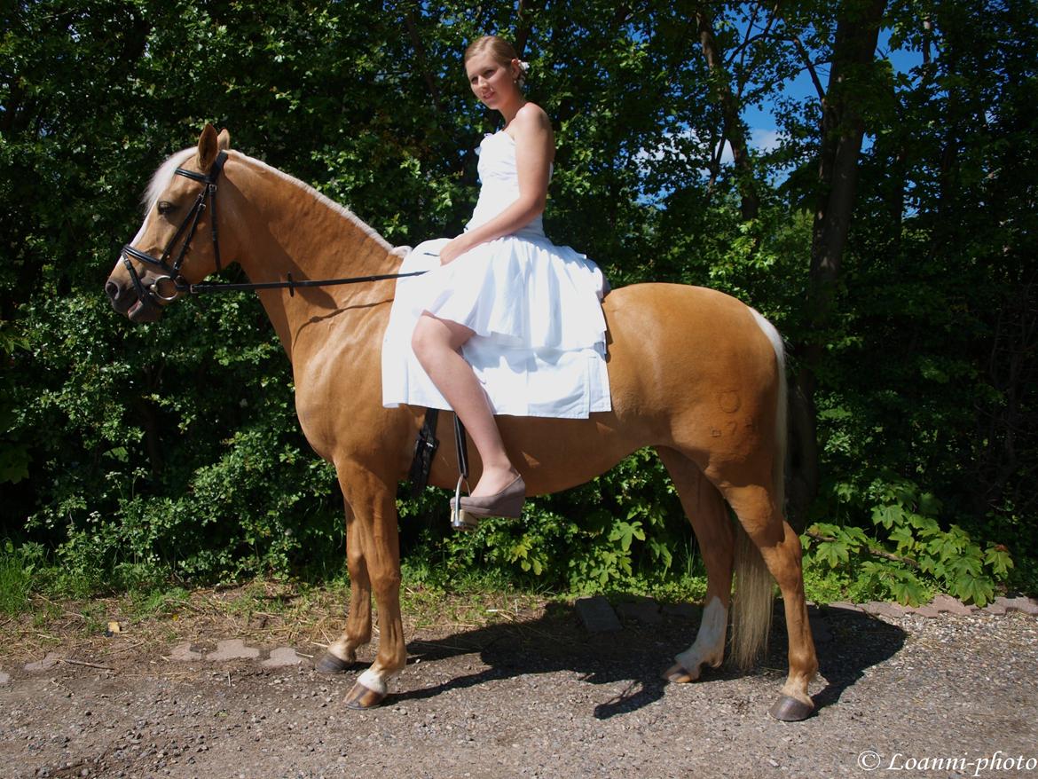 DSP Grønagergård Dobra billede 5