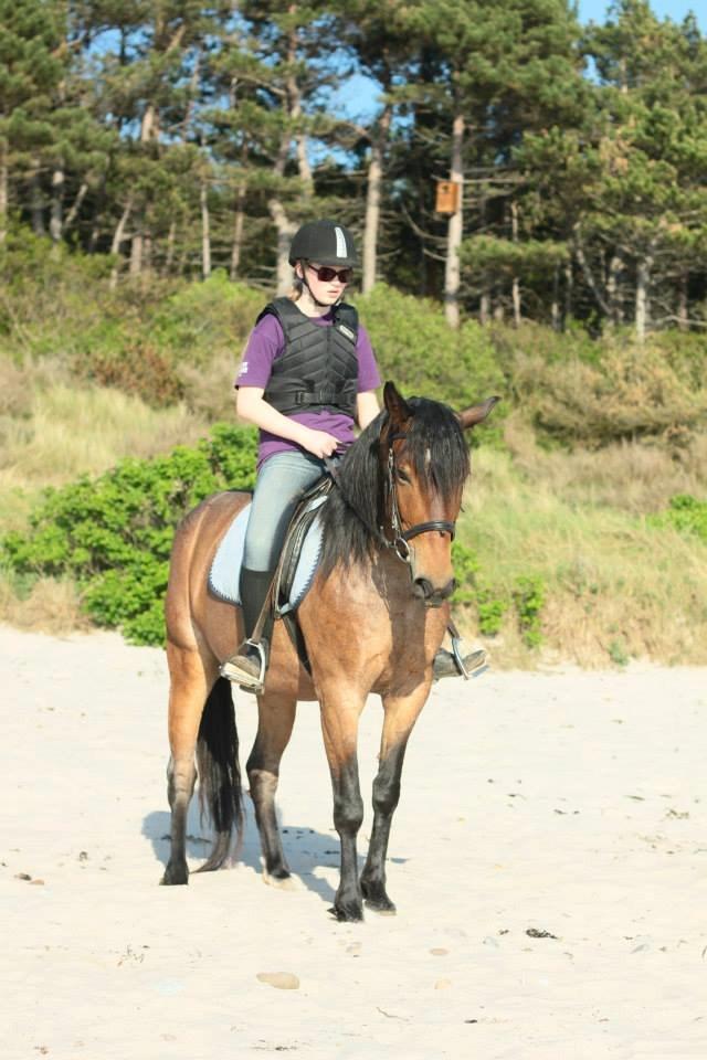 Anden særlig race Siegårds Forglemmigej *Glimmer* 2009-? - Foto af Ilona Hvalsøe Baunkjær billede 2
