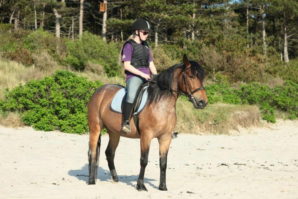 Anden særlig race Siegårds Forglemmigej *Glimmer* 2009-? - Foto af Ilona Hvalsøe Baunkjær billede 3