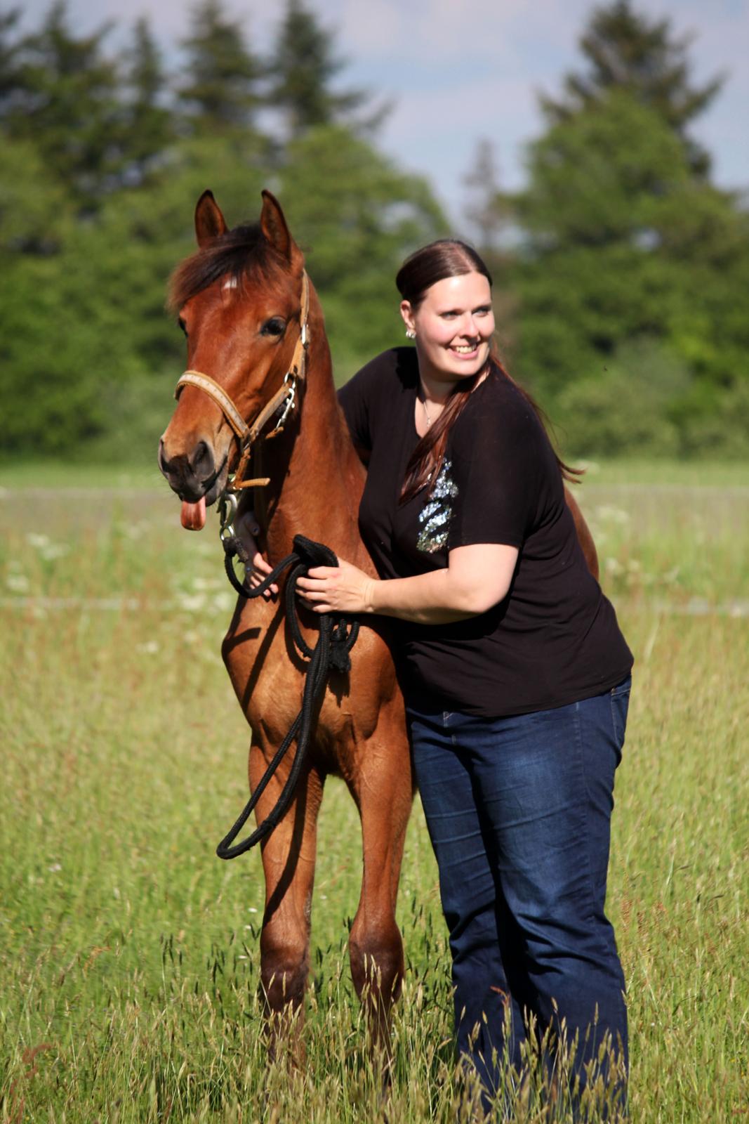Dansk Varmblod Angel of music (SOLGT) *For evigt elsket <3* - He he, så sød :) billede 37