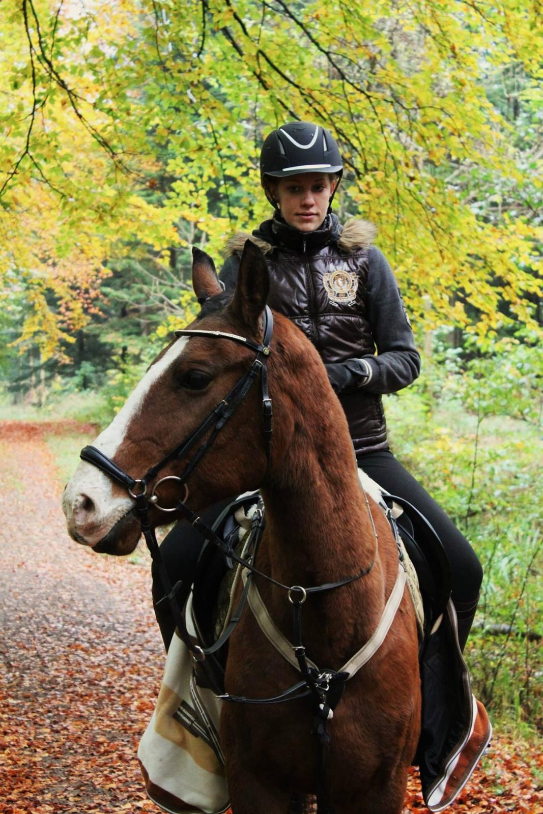 Anden særlig race Pedro El Valentino billede 3