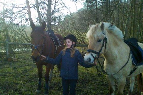 Fjordhest Mørkgårds Luna - Luna til højre og Magic til venstre billede 13