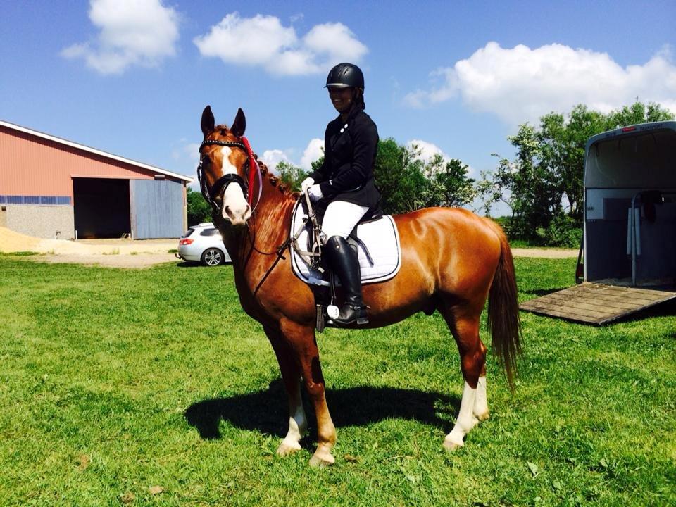 Anden særlig race Milando - Velkommen til Milandos profil<3 billede 1