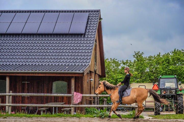 Anden særlig race Lukas billede 19