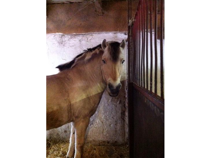 {{currentPhoto.altText}} billede {{currentPhoto.number}}