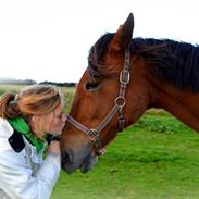 Traver Khesjan Poppelgård