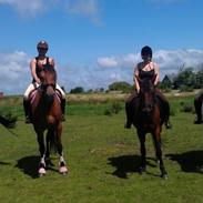 Traver Khesjan Poppelgård