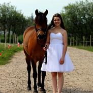 New Forest | Glenwood Marilyn