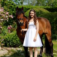 New Forest | Glenwood Marilyn