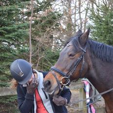 Anden særlig race Rasmus 