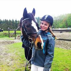 Anden særlig race Filini