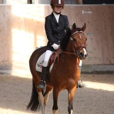 Pinto Tippie    (ejes af HDR)