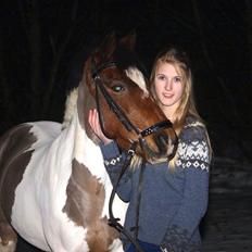 Pinto Skouvgaardens traissy