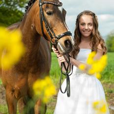 New Forest Orchid's Sheila B-pony