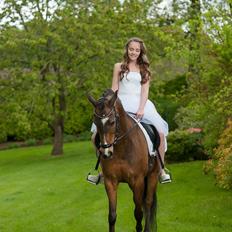 New Forest Orchid's Sheila B-pony