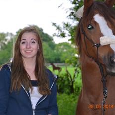 DSP Team Vesterskov's Chilli