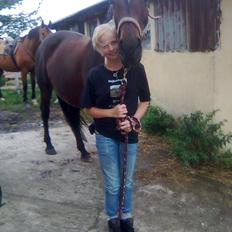 Dansk Varmblod Victoria Lobstick