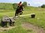 Welsh Partbred (Sec F) Donna "Hougård"  - I skoven med Jaller <3