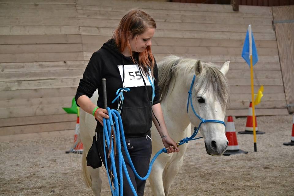 Anden særlig race Dino Soleil - Agility Heat 1, DHE Sjælland 2014 billede 17