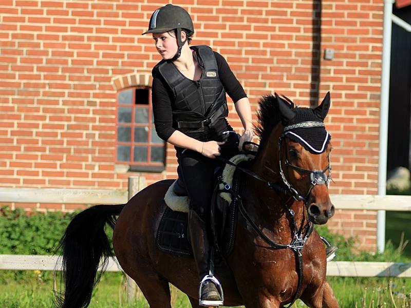 DSP Klintens earl (sendt hjem) billede 13