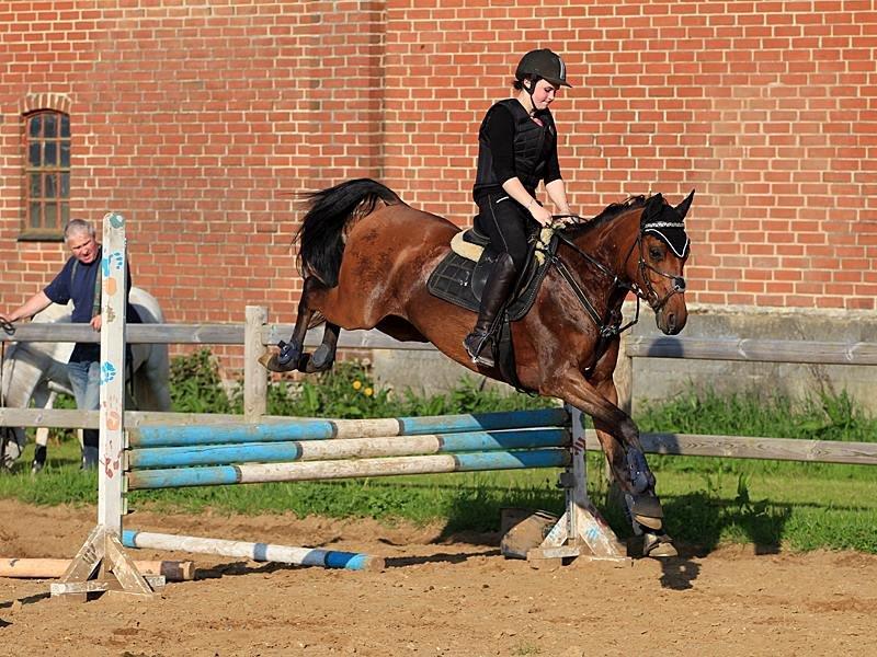 DSP Klintens earl (sendt hjem) billede 14