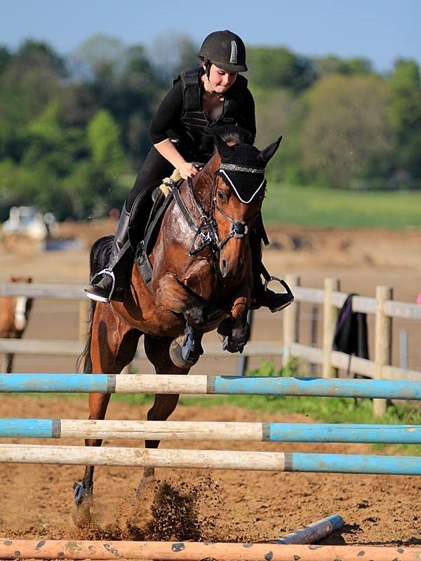 DSP Klintens earl (sendt hjem) billede 15