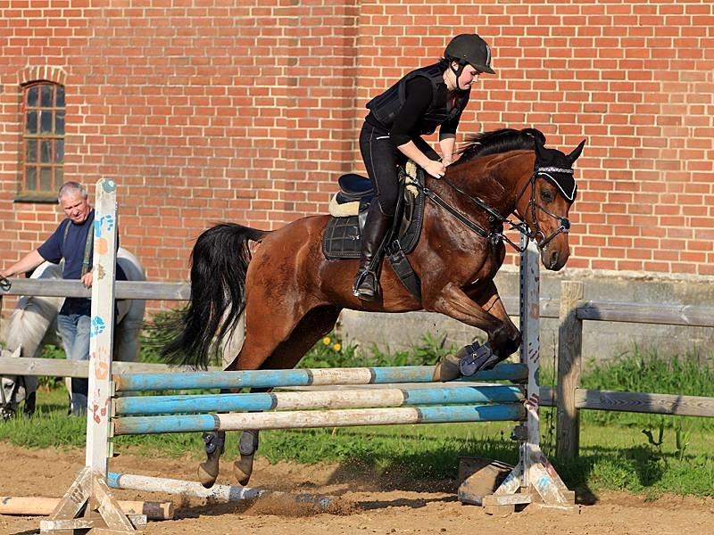 DSP Klintens earl (sendt hjem) billede 16