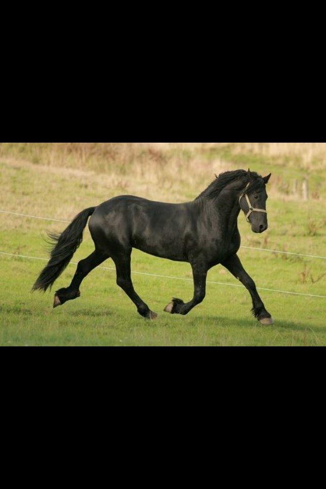 Frieser Remos fra Mørdrupgård billede 13