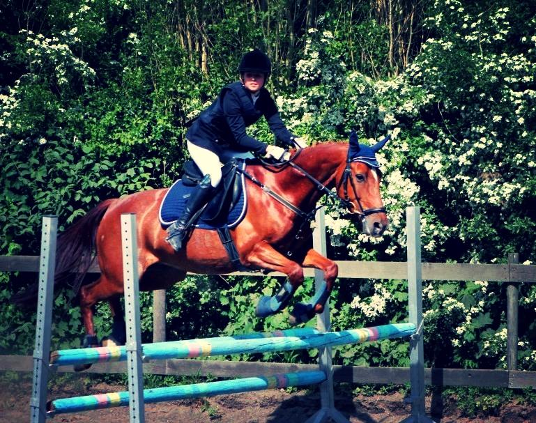 Anden særlig race Balto - Pinsestævne på Langstruplund 2012 | Foto: Simone Sigersted billede 2
