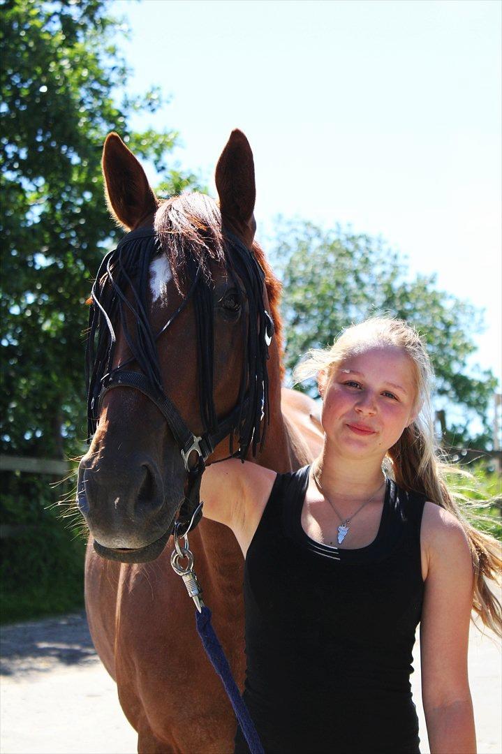 Anden særlig race Balto - Tak fordi i kiggede med :D | På vej ind fra fold med hesten | Foto: Melissa Kamper billede 20