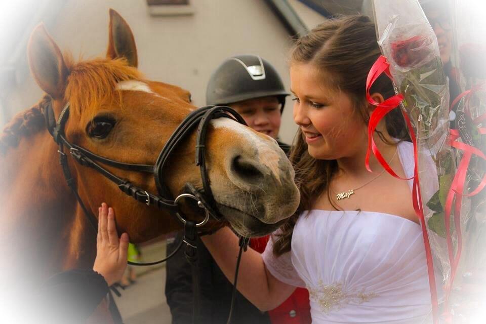 Anden særlig race Rex <3 - Min bedste ven til min konfirmation..<3 4/5-2014 billede 19