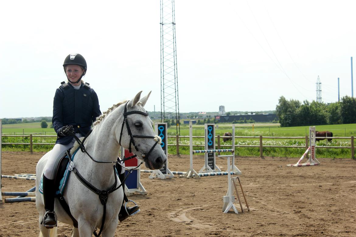 Anden særlig race Rabel (Bella) billede 12