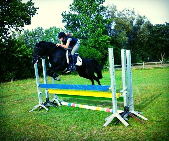 Hollandsk Sportspony Lady Black - Du er og bliver noget helt specielt! miss you boddy :´) | Foto: Ida Mortensen billede 4