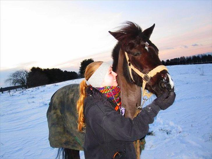 Hollandsk Sportspony Lady Black - Elsker diig ponz.. du er og bliver den bedste, du kan altid få et smil frem på mig :-* always, you and me :´) <3 | Foto: Simone Sigersted billede 20