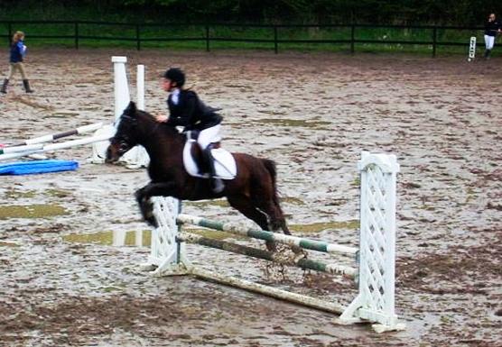 Anden særlig race Filini - 80 cm på NSR | Foto: Daddy billede 3