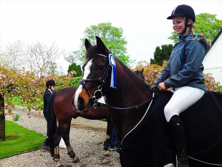 Anden særlig race Filini - super pony! | Foto: Simone Sigersted billede 5