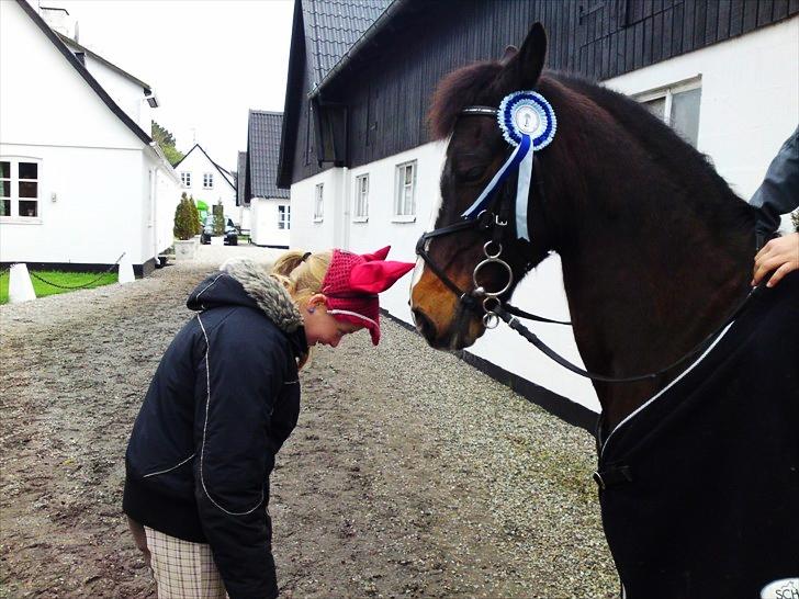 Anden særlig race Filini - filini var bange for "tyre" ida med emilies hut x] | Simone Sigersted billede 6