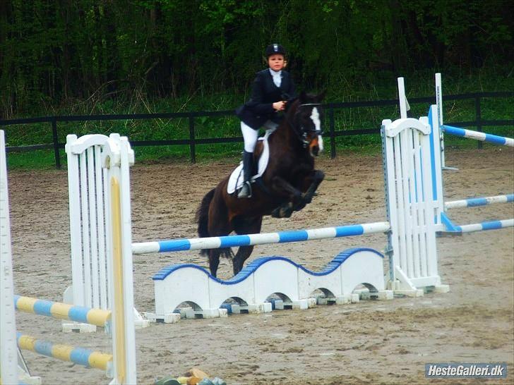 Anden særlig race Filini - Foto: Frederikke Larsen billede 10